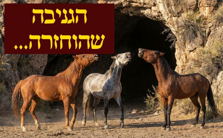 תן לסוס להוליך... » סיפורים