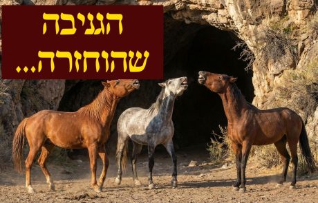 תן לסוס להוליך…